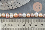 Perles eau douce naturelle "pomme de terre" pastel 6-7mm, x1 fil de 37cm (G1938)
