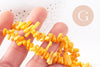 Perles en corail jaune safran, corail naturel, coquillage jaune,4-18mm, fil de 42cm, x1 (G4588)
