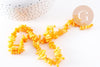 Perles en corail jaune safran, corail naturel, coquillage jaune,4-18mm, fil de 42cm, x1 (G4588)