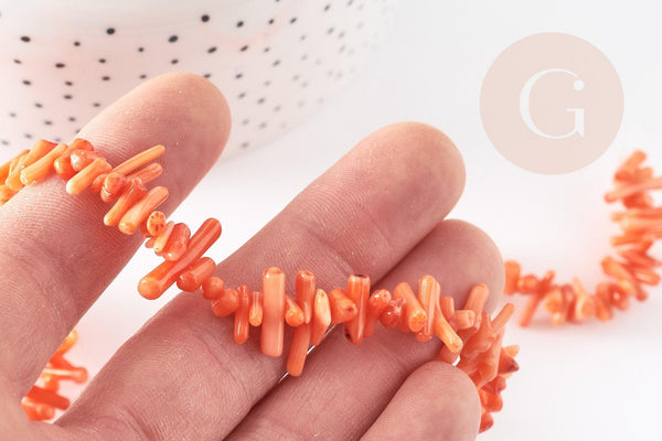 Perles en corail orange, corail naturel, perle coquillage orange, fil de 38cm, x1 (G6747)