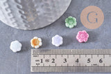 Perles fleur porcelaine multicolore antique 10mm, x5 (G10281)