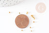 Perles intercalaires fer doré 2mm, x10gr (G2444)