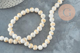 Perles jade blanc et or, perles rondes, jade mashan bleu,pierre naturelle, 8mm, fil de 40cm, x1 (G1800)
