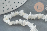 Perles nugget pierre de lune naturelle 3-13mm, x1 fil de 85cm (G2130)