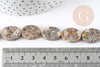 Perles ovales en jaspe sésame naturel 18x13mm, des perles en pierre pour creation de bijoux en pierre naturelle, x5 (G3532)