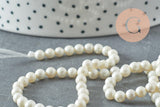 Perles rondes coquillage naturel blanche nacrées 4mm, x1 fil de 40cm (G10132)