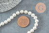 Perles rondes coquillage naturel blanche nacrées 6mm, x1 fil de 40cm (G10131)