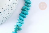 Perles/chips howlite naturelle turquoise 9-18mm, x1 fil 40 cm (G2574)