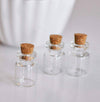Petite bouteille en verre bouchon Liège 20mm, x2 (G0173)