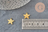 Pendentif acier doré inoxydable étoile 12mm x1 (G6147)-Breloques et pendentifs-Gingerlily Perles