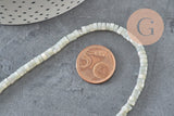 EP-natural mother-of-pearl heishi pastel gray, colored shell tube, shell bead, jewelry creation, 2x4mm, strand of 185 beads G4769
