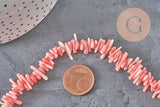 Cuentas de coral rosa EP, cuentas de coral, fabricación de joyas, coral natural, cuentas de concha, concha rosa, hilo de 38 cm, G3089
