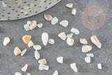 Sable chips coquillage nacre naturelle 4-14mm non percé, x20gr (G9308)
