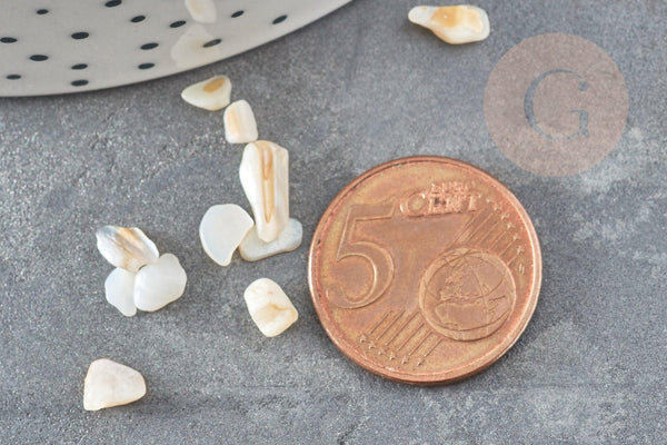 Sable chips coquillage nacre naturelle 4-14mm non percé, x20gr (G9308)