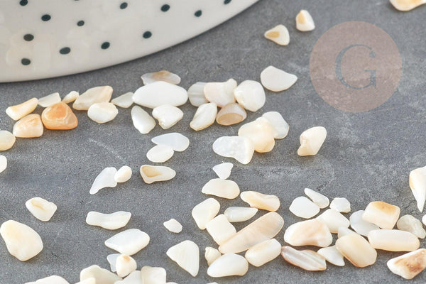 Sable chips coquillage nacre naturelle 4-14mm non percé, x20gr (G9308)