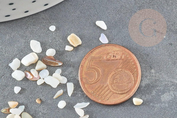 Sable chips coquillage nacre naturelle beige blanc 2-5mm non percé, x20gr (G9309)