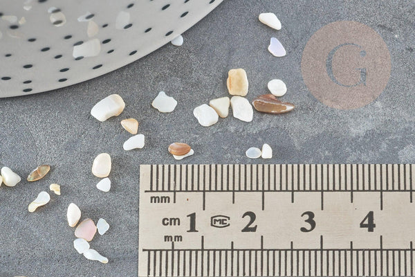 Sable chips coquillage nacre naturelle beige blanc 2-5mm non percé, x20gr (G9309)