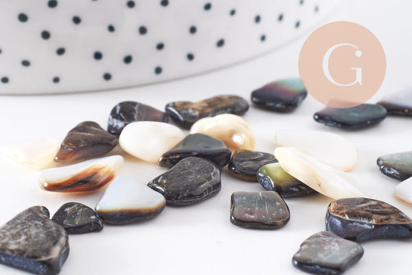 Sable chips coquillage nacre noire naturelle 7.5~18.5mm non percé, x20gr (G3499)