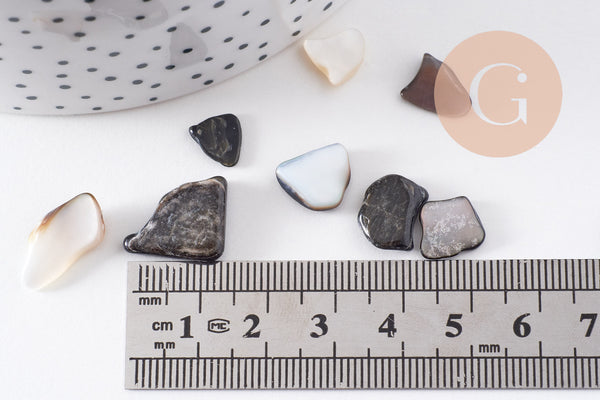 Sable chips coquillage nacre noire naturelle 7.5~18.5mm non percé, x20gr (G3499)