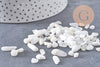 Sable chips pierre de lune naturelle 6-18.5mm, x20gr (G5775)
