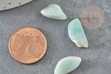 Sable pierre amazonite bleue verte naturelle brute roulée 5~25mm /2~8mm non percé, x20gr (G0249)