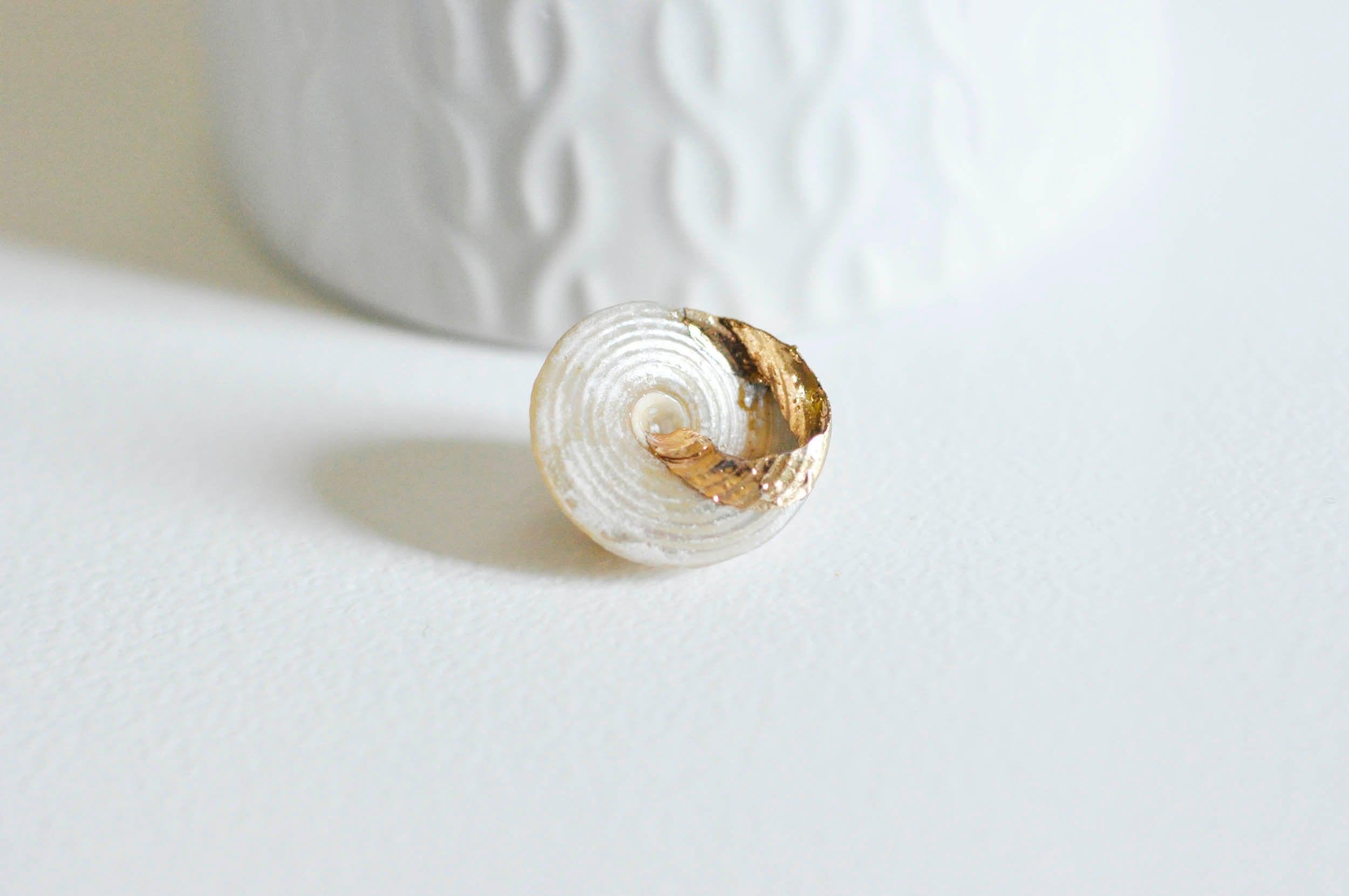 EP-coquillage naturel blanc doré 19-26mm,bijoux coquillage nacré, x1 (G2666)