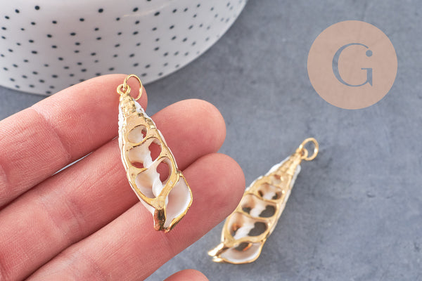 coquillage naturel blanc doré 43-47mm, pendentif argent création bijoux, x1 (G2087)