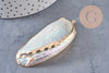coquillage naturel blanc doré 53-70mm,pendentif argent création bijoux, x1 (G2086)