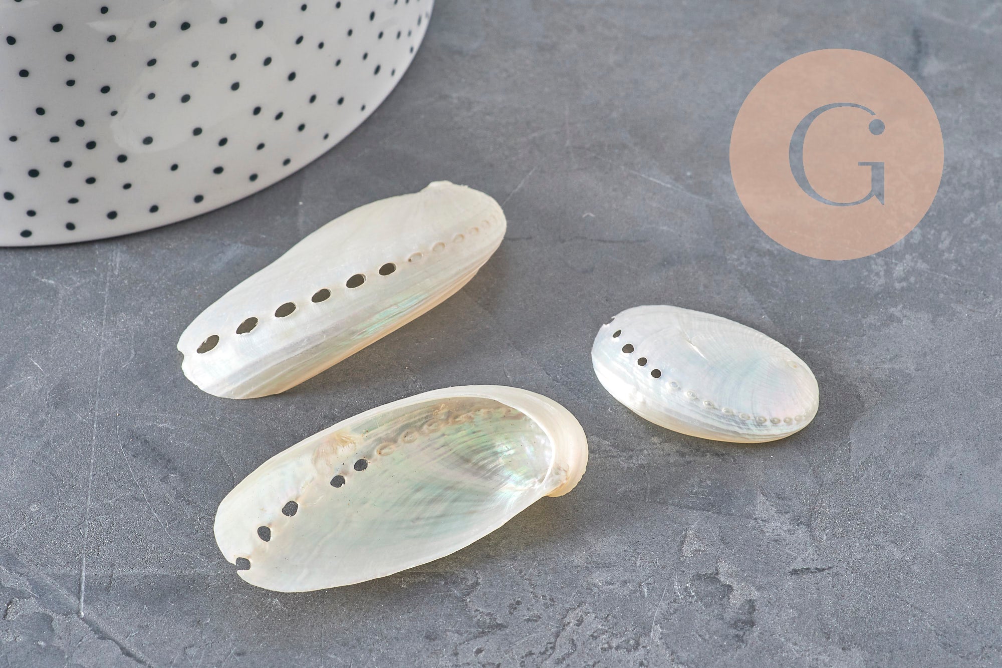 EP natural pearly white shell HALIOTIS ASININA 50-70mm, natural shell jewelry, x1 (G4163)