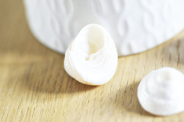 coquillage naturel blanc nacré escargot de mer Tectus Conus 4-5cm, x1 (G4164)