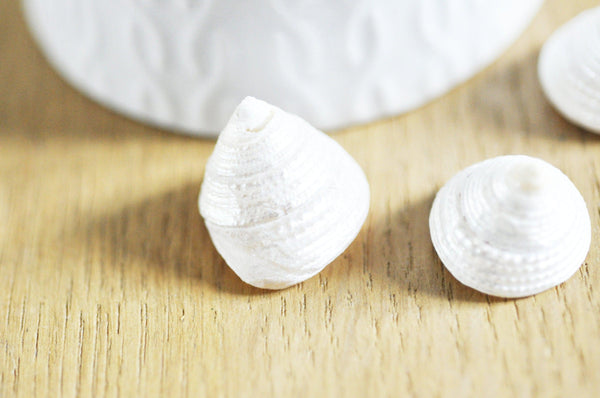 coquillage naturel blanc nacré escargot de mer Tectus Conus 4-5cm, x1 (G4164)