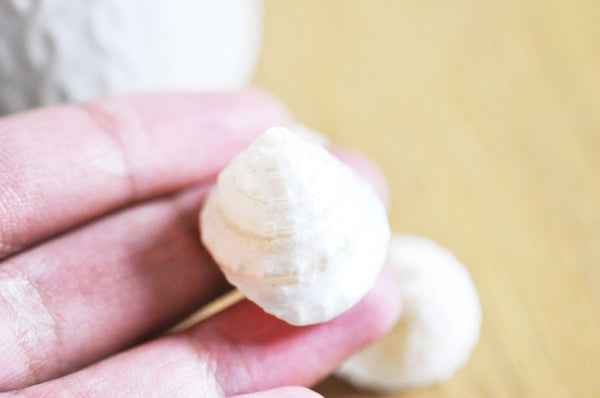 coquillage naturel blanc nacré escargot de mer,coquillage nacré Tectus Conus, bijou coquillage naturel,4-5cm, x1 G4165