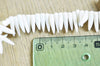 perle dent corail blanc,fabrication bijoux corail naturel,perle coquillage,coquillage blanc,11-17mm,le fil de 120 perles G4779
