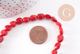 perle ovale corail rouge, perles corail, corail rouge,corail naturel, fil 40cm,6-12mm, x1 (G1827)