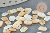 Perle plate ovale nacre blanche naturelle 7-10mm, perle coquillage ivoire naturels, x 20gr (G5847)