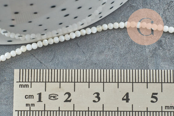 perle ronde nacre blanche,perles coquillage, perle ronde nacre,coquillage naturel,fil 40cm,2.5mm, x1 G5449