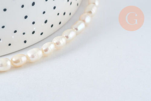 Shell, mother-of-pearl and sea bamboo bead