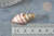 Pendentif coquillage marron spirale doré 30-50mm, Pendentif coquillage pour création bijoux X1  G9256