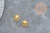 Pendentif coquillage acier doré inoxydable 13mm, un bijou en acier hypoallergénique sans libération de nickel,l'unité G6162