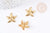 Pendentif étoile de mer laiton brut 21mm, création bijoux vacances, X1 G9072