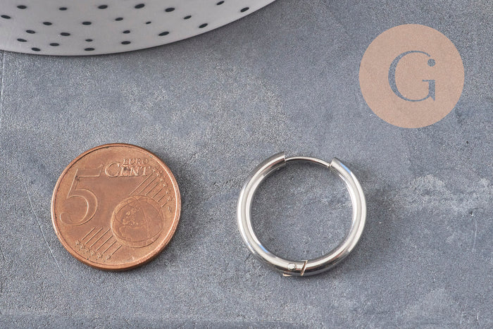 Créoles interchangeable acier 304 inoxydable platine 20mm, x1 paire (G11048)
