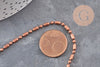 Chaine boule bambou cuivrée,chaine cuivre,chaine bijou, création bijoux,chaine boule,sans nickel,2.5mm,5 mètres G0731