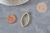 Colgante gota oblonga acero inoxidable 304 dorado IP sin fondo 38mm, x1 VÁLIDO