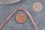 Cordón cola de rata poliéster rosa viejo 2mm, x5 metros VÁLIDO