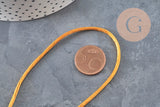 Cordón cola de rata poliéster dorado claro 2mm, x5 metros VÁLIDO