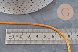 Cordón cola de rata poliéster dorado claro 2mm, x5 metros VÁLIDO