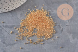 Miyuki Delica 11/0 DB0034 - Chapado en oro claro de 24kt, x5gr VÁLIDO (G11296)