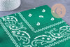 Bandana motif Cachemire Polyester 55cm, x1 (G10691)