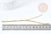 Base de bracelet réglable maille gourmette acier doré 304 inoxydable 15.5cm, x1 (G8624)