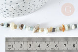 Bracelet de cheville perles amazonite naturelle laiton et acier inoxydable platine 21.5cm, x1 (G7792)